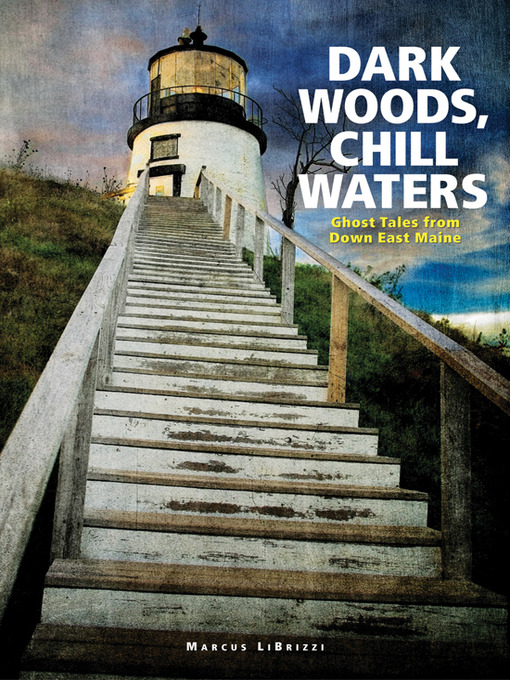Title details for Dark Woods, Chill Waters by Marcus LiBrizzi - Available